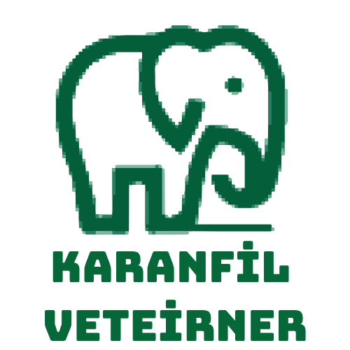 Karanfil Veteriner
